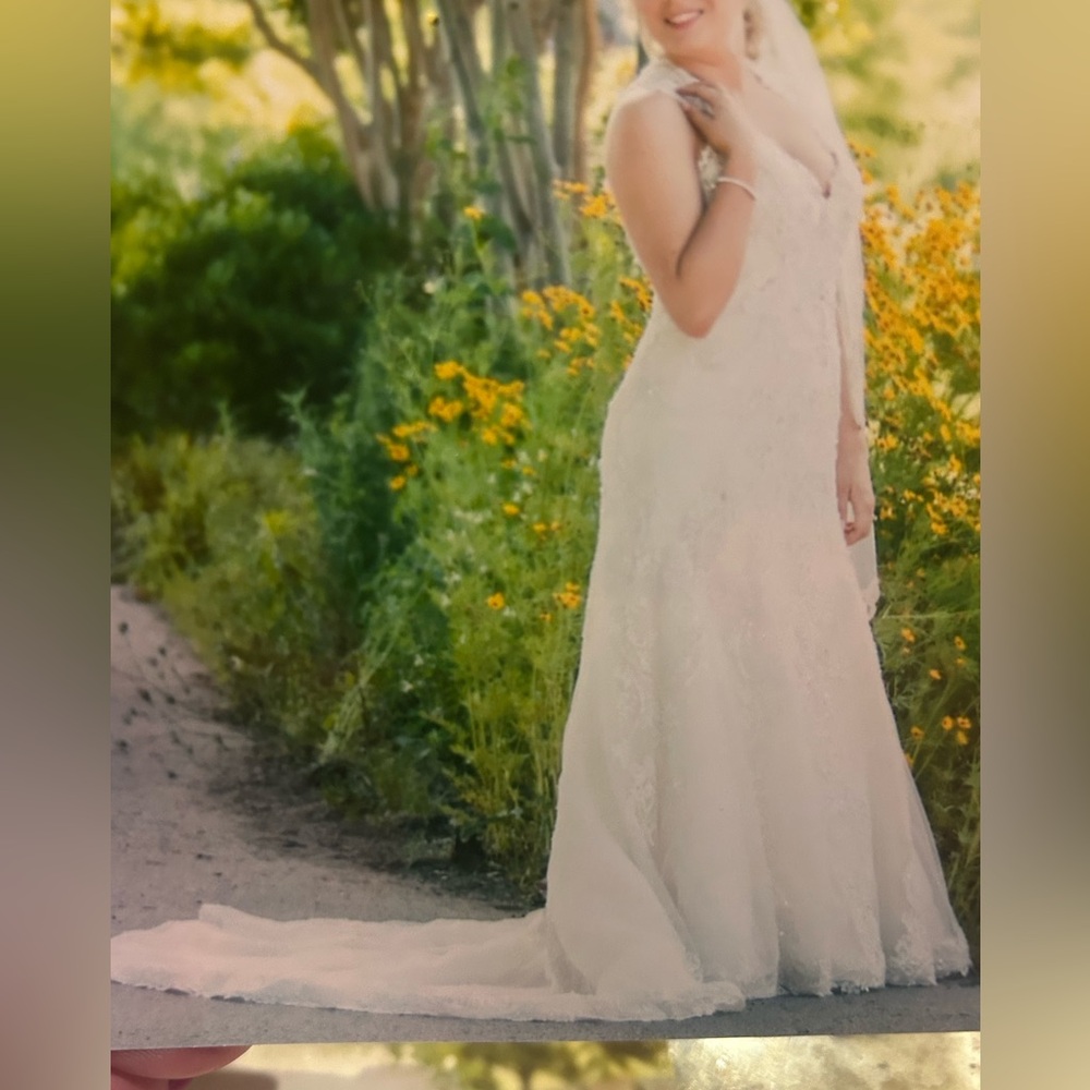 Maggie Sottero White Lace Wedding Dress - Picture 5 of 16
